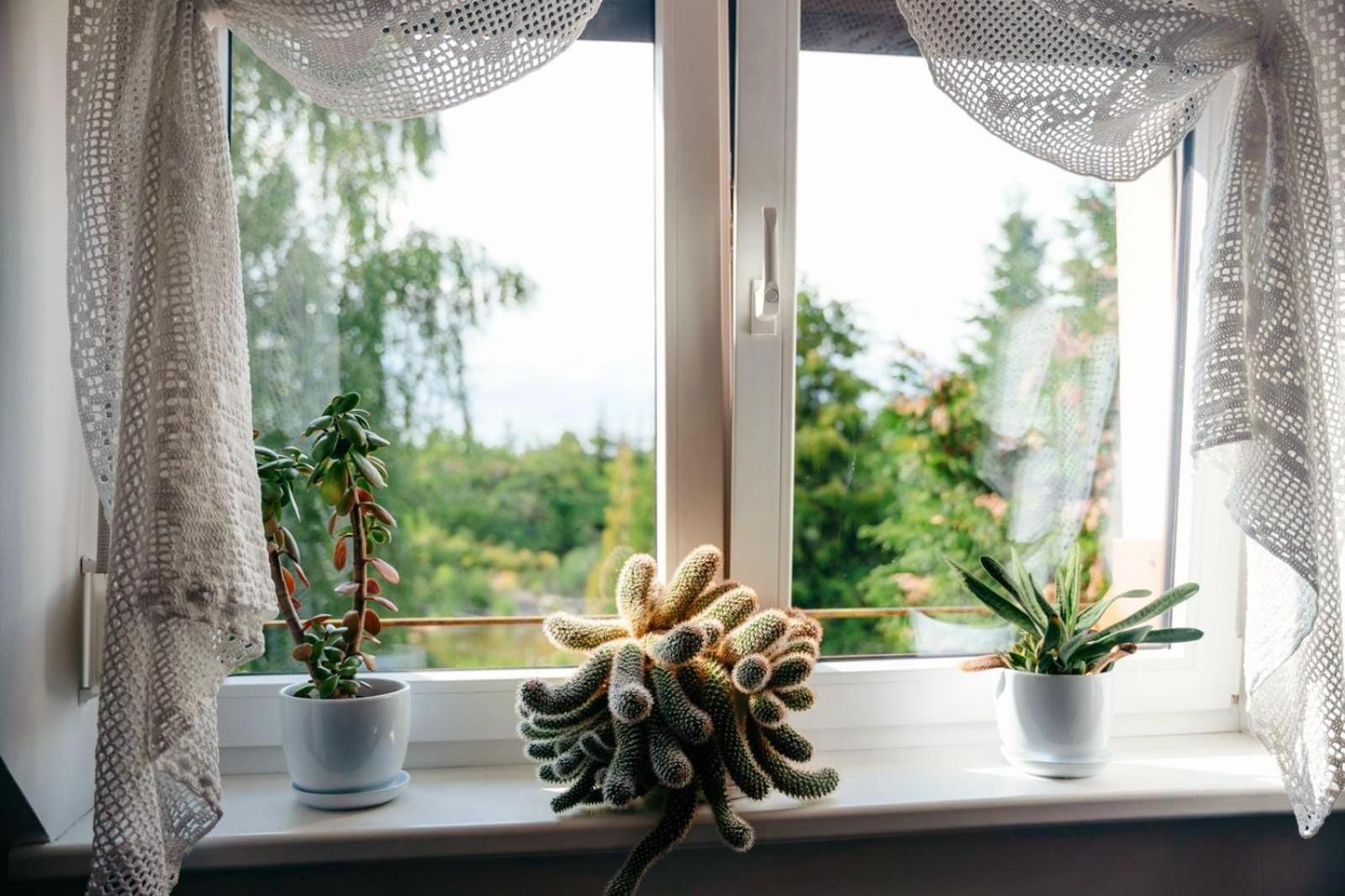 Zielona Parcela Pisz Eksteriør bilde